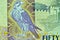 Closeup of the fifty dirham banknote of the United Arab Emirates