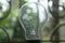Closeup filament of Older style Incandescent Clear Light bulb isolated from background