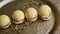 Closeup finely decorated four spherical sponge biscuits spinning on plate