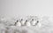 Closeup of five decorative Christmas balls in the snow, Christmas mood in the white background