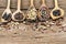 Closeup of five wooden cooking spoons in a row with various exotic spices