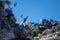 Closeup of a flock of Golden eagles flying above rocks