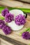 Closeup of flowering chives with shallow depth of field and focus concentrated on flower in the foreground