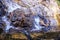 Closeup Foamy Shallow Streams among Stones in Park