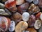 Closeup Focus Stacked Image Tumbled or Polished Stones to include Agates, Beach Agates and Petrified Wood