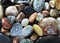 Closeup Focus Stacked Image of Tumbled Rocks to Include Agates and Petrified Wood