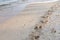 Closeup footprints of man and horse on the sand.