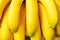 Closeup of fresh bananas yellow in nature light