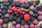 Closeup of fresh berry fruits