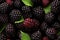 Closeup of fresh blackberries, top view, seamless pattern. Generative Ai