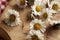 Closeup of fresh common daisy flowers on a wooden cutting board - ingredient for herbal syrup