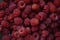 A closeup of fresh crimson juicy ripe raspberries