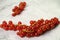 Closeup of fresh and delicious cranberries on a white surface