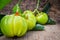 Closeup of fresh garcinia atroviridis fresh fruit on wooden back