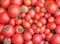 Closeup of Fresh Just Picked Tomatoes