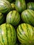 Closeup fresh many watermelons on market.