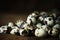 Closeup of fresh organic quail eggs