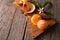 Closeup of a fresh peeled Minneola Tangelo on cutting board with knife and orange blossoms
