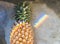 Closeup of fresh pineapple with rainbow prism light