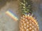 Closeup of fresh pineapple with rainbow prism light