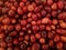 Closeup of Fresh red cranberries, get your antioxidants