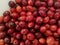 Closeup of fresh red cranberries in white dish - get your antioxidants