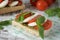 Closeup of a fresh sandwich with mozzarella, tomatoes, pesto and