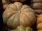 Closeup of freshly harvested Nutmeg pumpkins stacked on one another with a blurry background