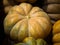 Closeup of freshly harvested Nutmeg pumpkins stacked on one another with a blurry background