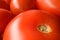 Closeup of freshly picked tomatoes