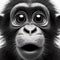 Closeup Funny Portrait of surprised Chimpanzee with Huge Eyes on solid white background, wide angle shot. ai generative
