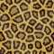 Closeup of the fur patterns of a Jaguar, hairy texture illustration