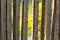 Closeup of a garden fence made of woven brwon willow wood. A you