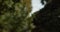 Closeup, garden and a Japanese statue in nature for art, history or culture in the country. Creative, 360 motion and
