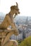 Closeup of gargoyle on the Notre-Dame de Paris