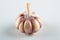 Closeup Garlic clove and bulb  on white background