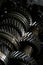 Closeup on gears of auto transmission gearbox - Series 8