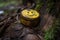 a closeup of a geocache with the iconic yellow smiley face and hidden treasure