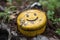 a closeup of a geocache with the iconic yellow smiley face and hidden treasure