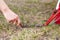 Closeup of girl hands placement of red camping tent, macro shot of peg and grass.