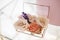 Closeup glass box for wedding rings decorated with fresh rose flowers and banch of lavender. Event decoration with fresh flowers