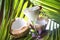 Closeup of a glass of pina colada with a cherry on top on the table