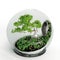 A closeup of a glass sphere with a tree in it , 3d rendering