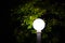 Closeup of a glowing round solar light in the night garden