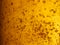 Closeup of gold amber beer bubbles