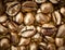 Closeup of golden coffee beans