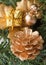 Closeup golden cone on fir branch