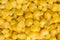 Closeup of Golden sweetcorn grains