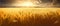 Closeup of golden wheat ears over a wheat field panorama with dramatic sunset. Generative AI illustration