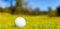 Closeup of golf ball on a Fairway green at a golf course
